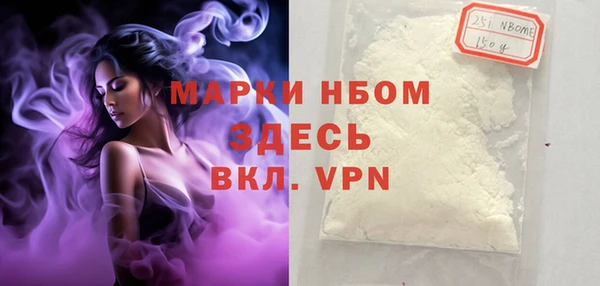 мет Инта