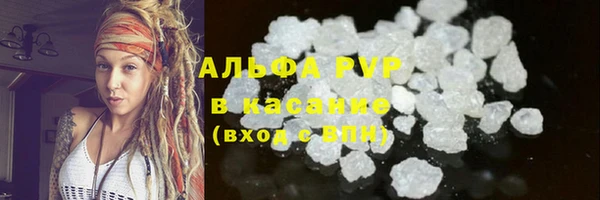 ешки Иннополис