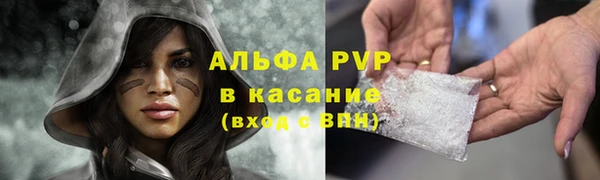 ешки Иннополис