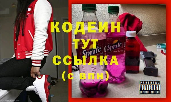 мет Инта