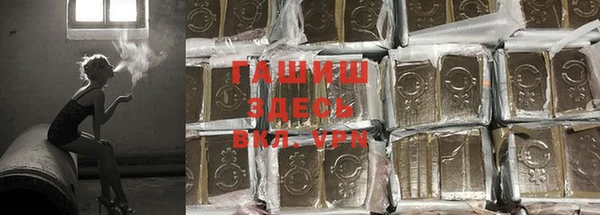 мет Инта