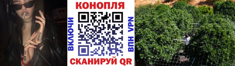 Купить где  Дюртюли  Бошки марихуана OG Kush 
